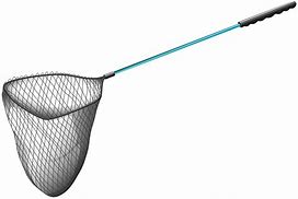 Image result for Fish Catching with Net Clip Art