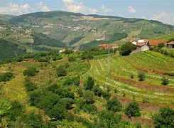 Image result for Portugal Countryside