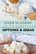 Image result for Best Milk Substitute