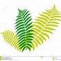 Image result for Fern in Pot Clip Art