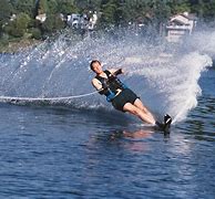 Image result for Water Skiing Gerbils