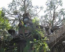 Image result for David Stiles Tarzan Treehouse