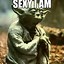 Image result for Maestro Yoda