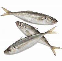 Image result for Frozen Mackerel