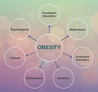 Image result for Obesity