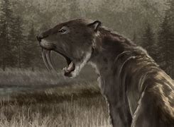 Image result for Smilodon Minecraft