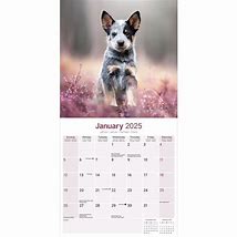 Image result for Cattle Dog Calendar