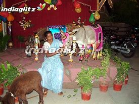 Image result for Ennai Par Yogam Varum Image Donkey