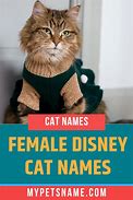 Image result for Cat Names From Movies