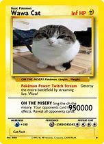 Image result for OH Delivery Wawa Cat Meme