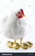 Image result for The Goalen Egg with Hen