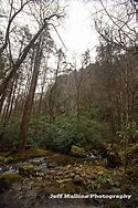 Image result for Rocky Fork State Park TN