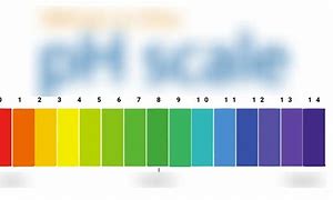 Image result for Light Bulb pH Scale