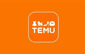 Image result for Temu User Photos