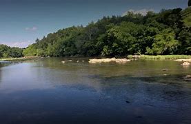 Image result for White Pines Nature Preserve