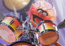 Image result for Animal Drummer