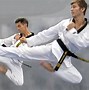 Image result for Taekwondo Tigers