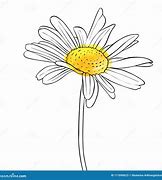 Image result for Hand Drawn Daisy Flower