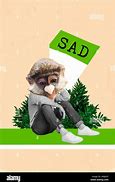 Image result for Stressed Monkey