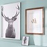 Image result for IKEA Fejka in Frames