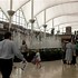 Image result for Denver Airport Canopy