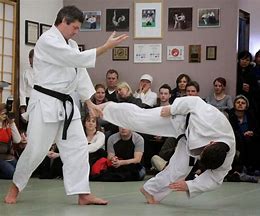 Image result for Grev Cooke Aikido