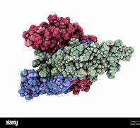 Image result for TSH Molecule