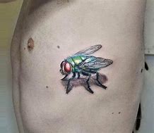 Image result for Fly Tattoo