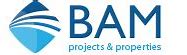 Image result for Bam Building Logo