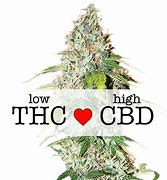 Image result for OG Kush CBD