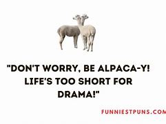 Image result for Alpaca Jokes