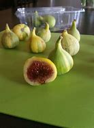 Image result for Fresh Figs in Orange Bucket