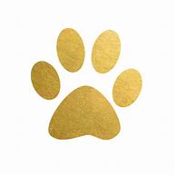 Image result for Gold Cute Paw Print