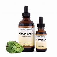 Image result for Graviola Eco Médica