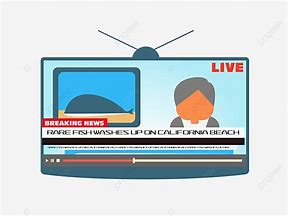 Image result for News Logo Cartoon