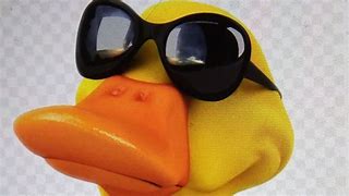 Image result for Yellow Duck Meme