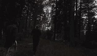 Image result for GIF Man Walking in Woods