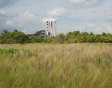 Image result for Apollo Beach Nature Preserve