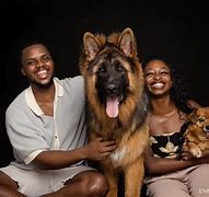 Image result for Dog Family Images