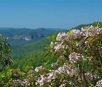 Image result for Blue Ridge Parkway TN