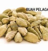 Image result for Buah Pelaga