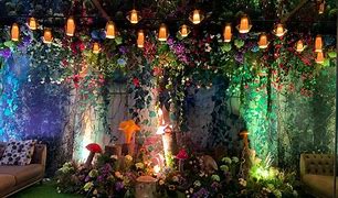 Image result for Enchanted Forest Pics