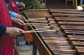 Image result for Marimba Musical Instrument