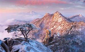 Image result for Korea Winter Wallpaper