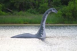 Image result for Loch Ness Monster Fossil