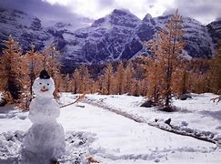 Image result for Banff Snow