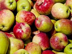 Image result for Pome Fruit Farm