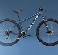 Image result for Specialized Indro 01