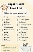 Image result for What Does Sugar Glider Eat