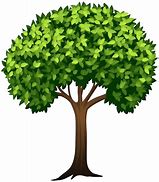 Image result for Green Tree C